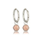 Zilveren Zeshoek Oorbellen met Rhodonite Pracht Zilveren Zeshoek Oorbellen met Rhodonite Pracht