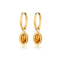Oorbellen met Ovale Edelsteen en Ribbelrand • Tiger Eye
