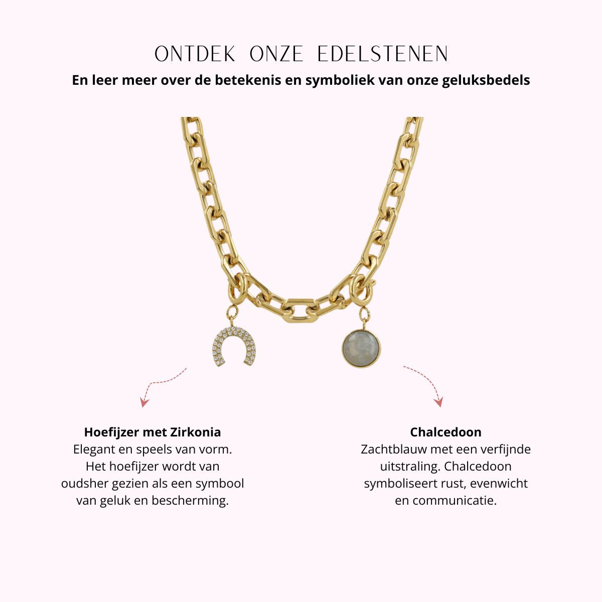 Set grove ketting met hoefijzer en edelsteen