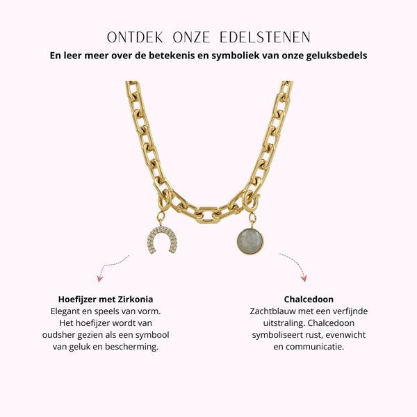 Set grove ketting met hoefijzer en edelsteen
