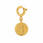 Lucky Charm with Coin
