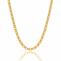 Link Necklace • 43 cm • Gold