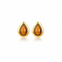 Druppel Studs met Edelsteen • Tiger Eye