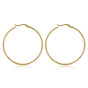 Stralende Gouden Cirkel Oorring 40mm
