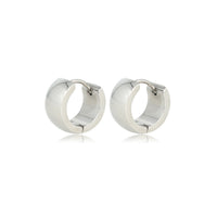 Radiant Steel Earrings: Compact Elegance