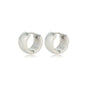 Radiant Steel Earrings: Compact Elegance