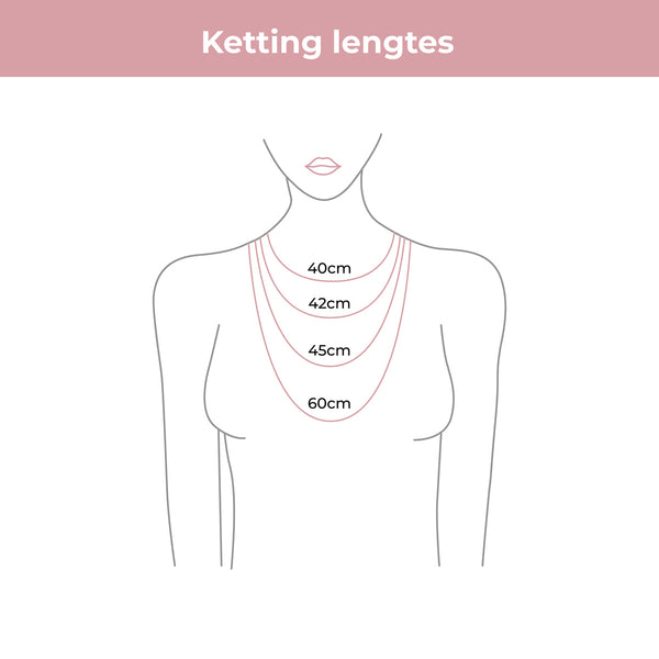 Gouden Ketting & Armband Set met Rose Stripe Agate Edelsteen