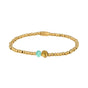Amazonite Shell Bracelet with Golden Beads