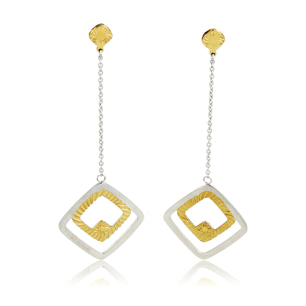 Elegant Bicolor Edelstalen Oorbellen Design