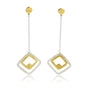 Elegant Bicolor Edelstalen Oorbellen Design