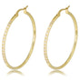 Radiant Golden Earrings with Zirconia