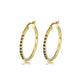 Elegante Gouden Oorringen met Zwarte Zirkonia 25mm