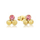Roze Zirkonia Gouden Oorstekers - Elegant en Uniek - My Bendel